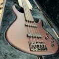 T’s Guitars OMNI-5BCustom